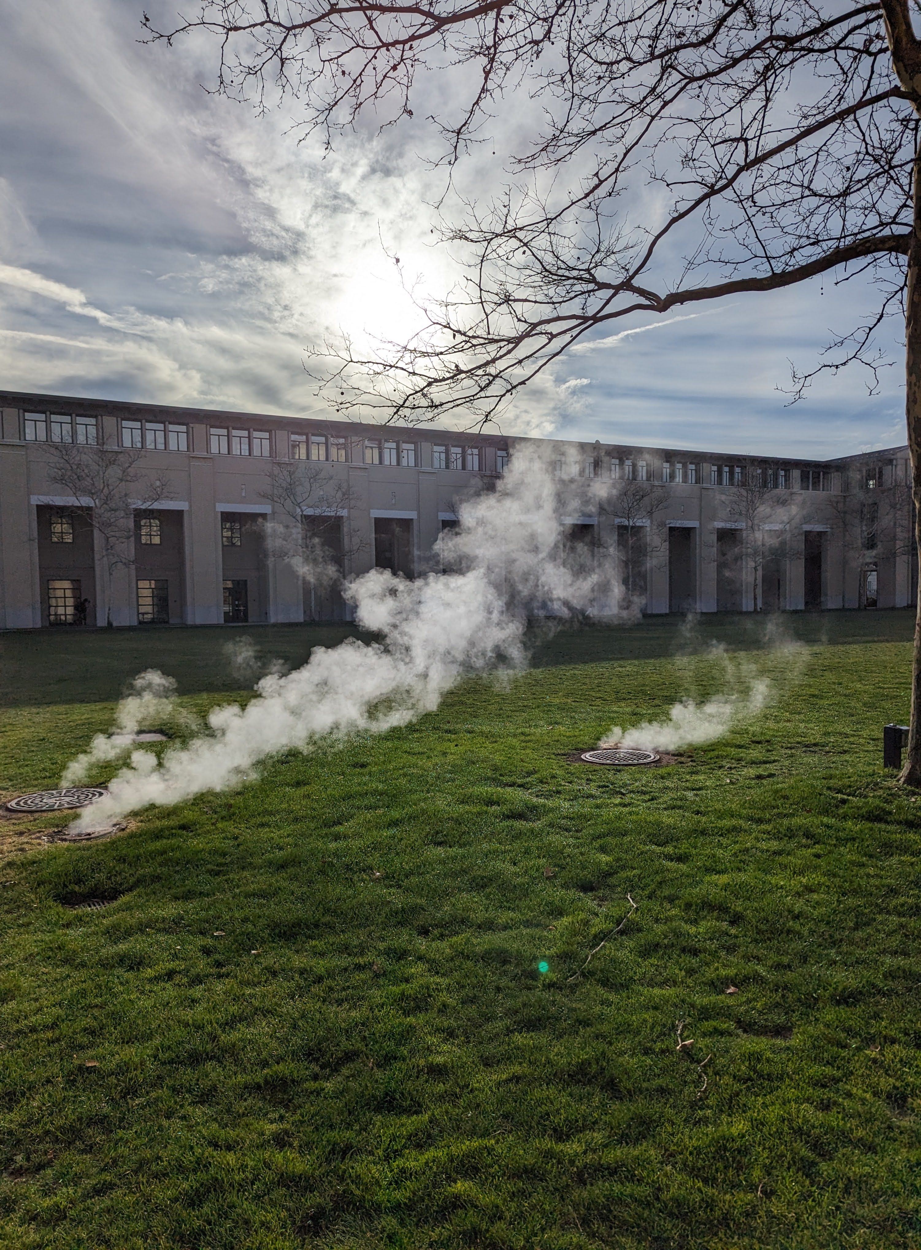 Steam rising from the ground on a Sunny Morning