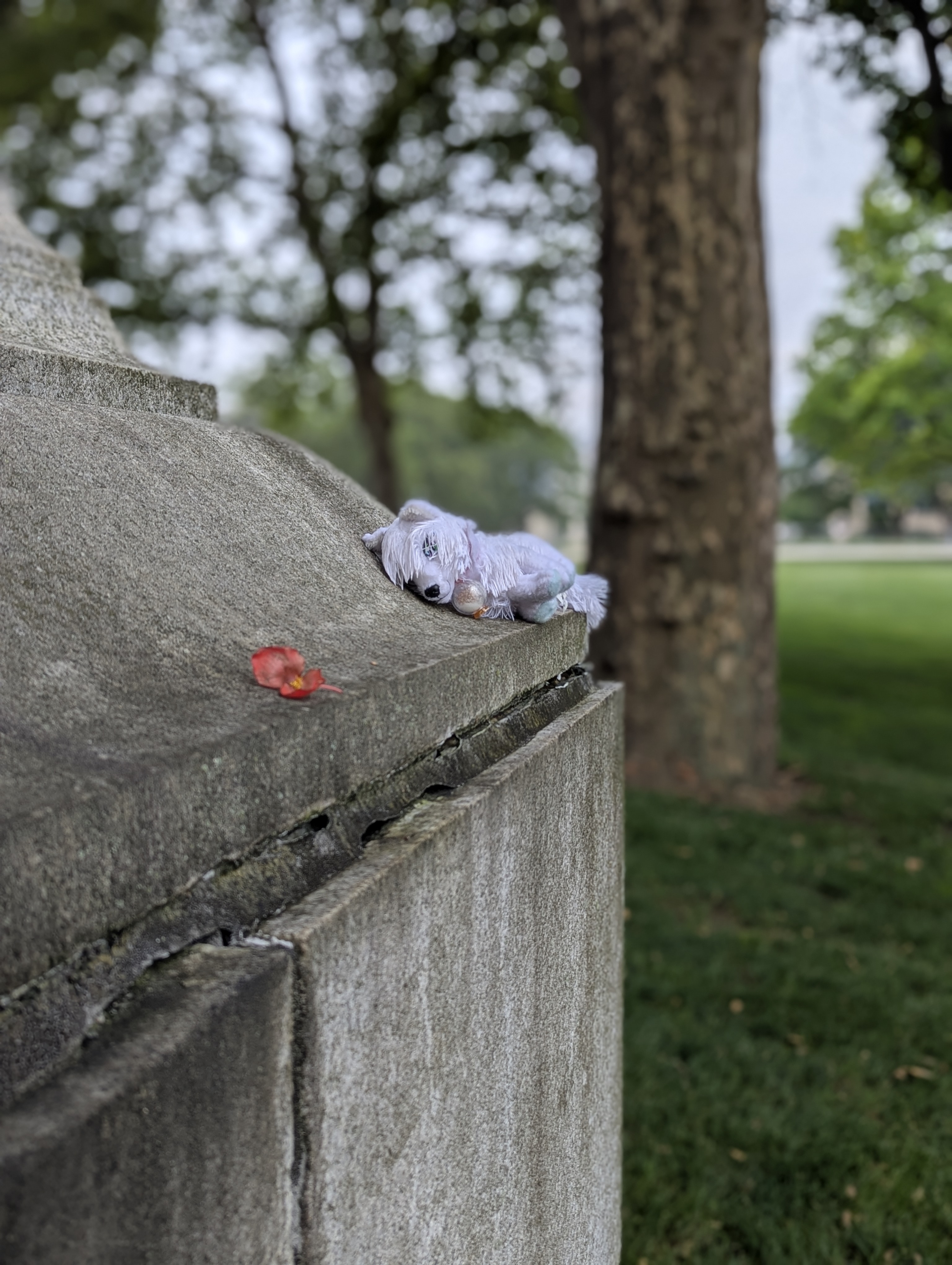 Silver Fox stuffed animal hanging out, taking a nap